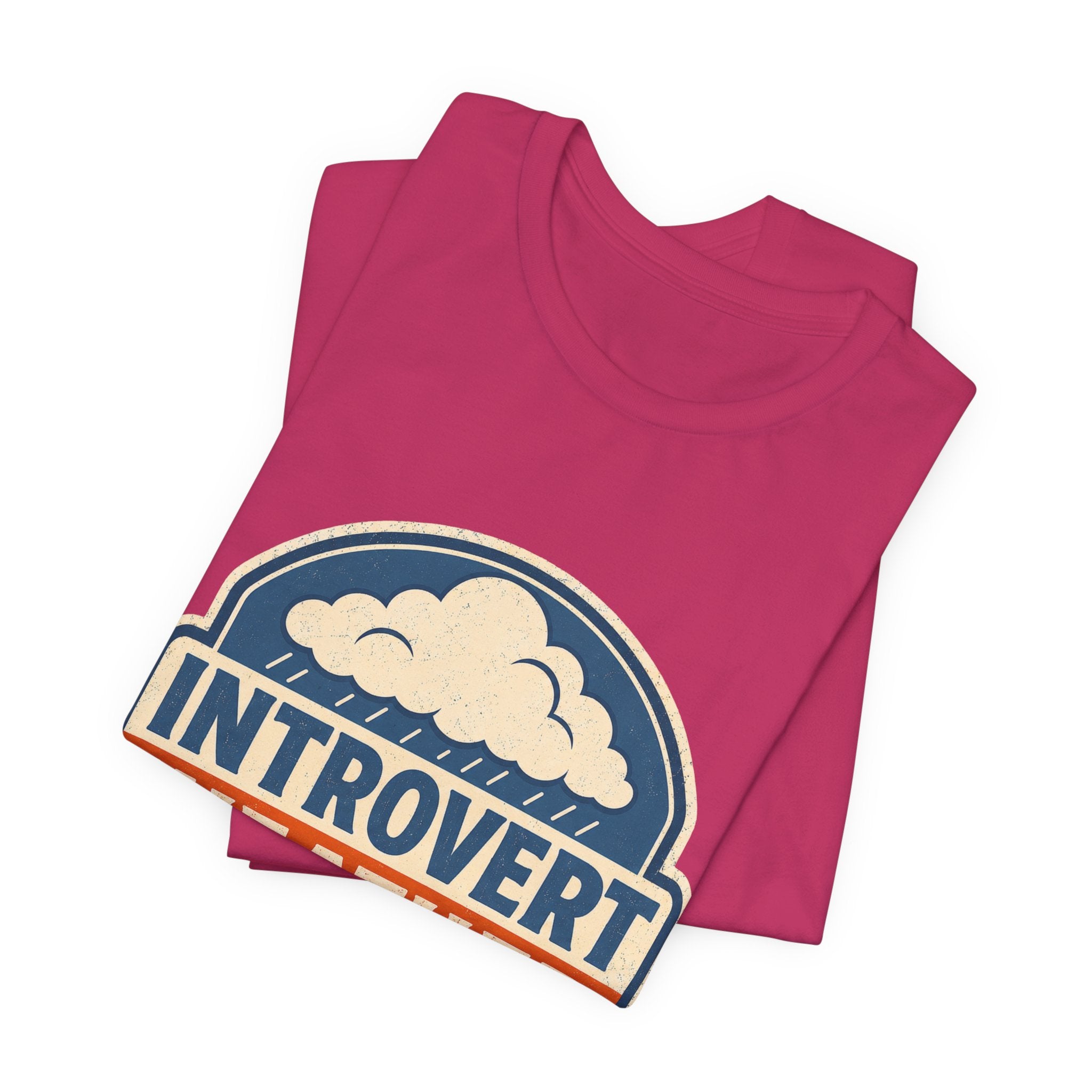 Introvert Weather Advisory Unisex T-Shirt